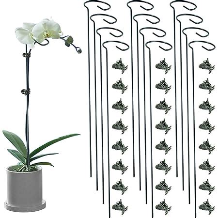 orchid stake clips|orchid stakes and clips bunnings.